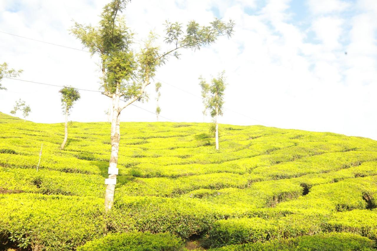 Casa Montana Munnar Exterior foto